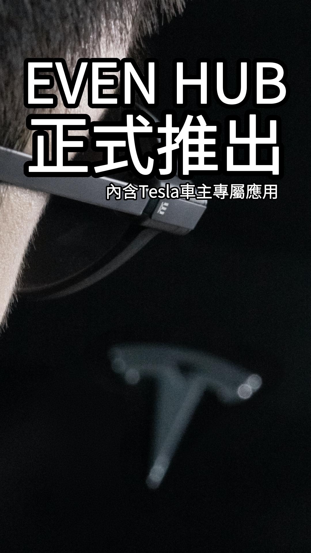 抽象卡通風景，金黃色丘陵與棕色針葉樹，白色道路穿梭其間，天空淡藍條紋。